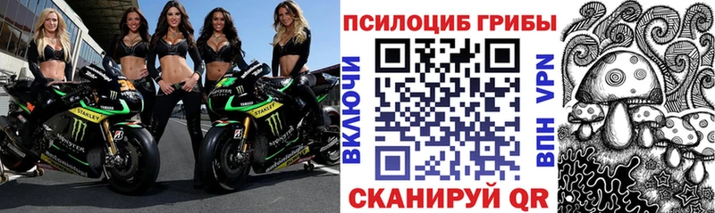 Псилоцибиновые грибы мухоморы Купить Арсеньев